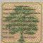 Arbol Geneal�gico